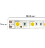 Striscia LED 14,4w/m RGB 12v Professionale 300led/m - D'Alessandris