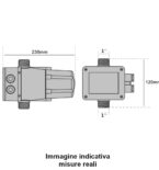 Presscontrol LEO Regolabile 1,2 - 1,5 - 2,2 bar per elettropompe -  D'Alessandris