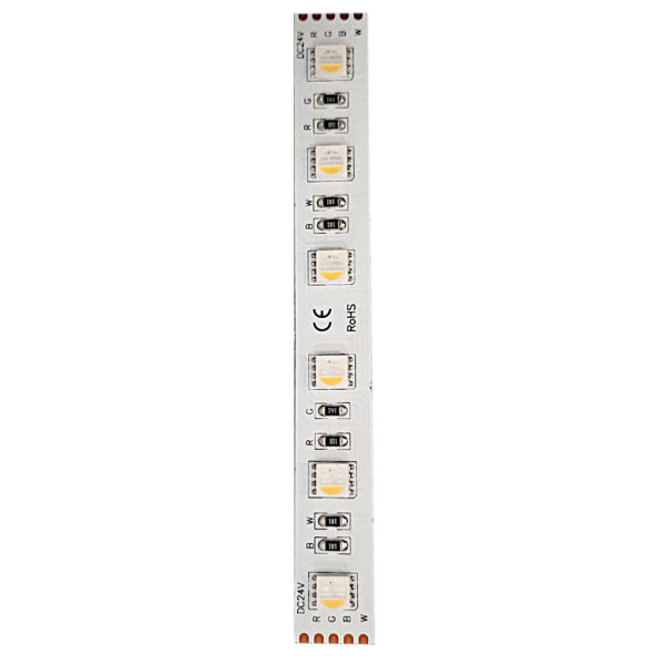 Striscia LED 24V RGBW Professionale 20W/m IP20