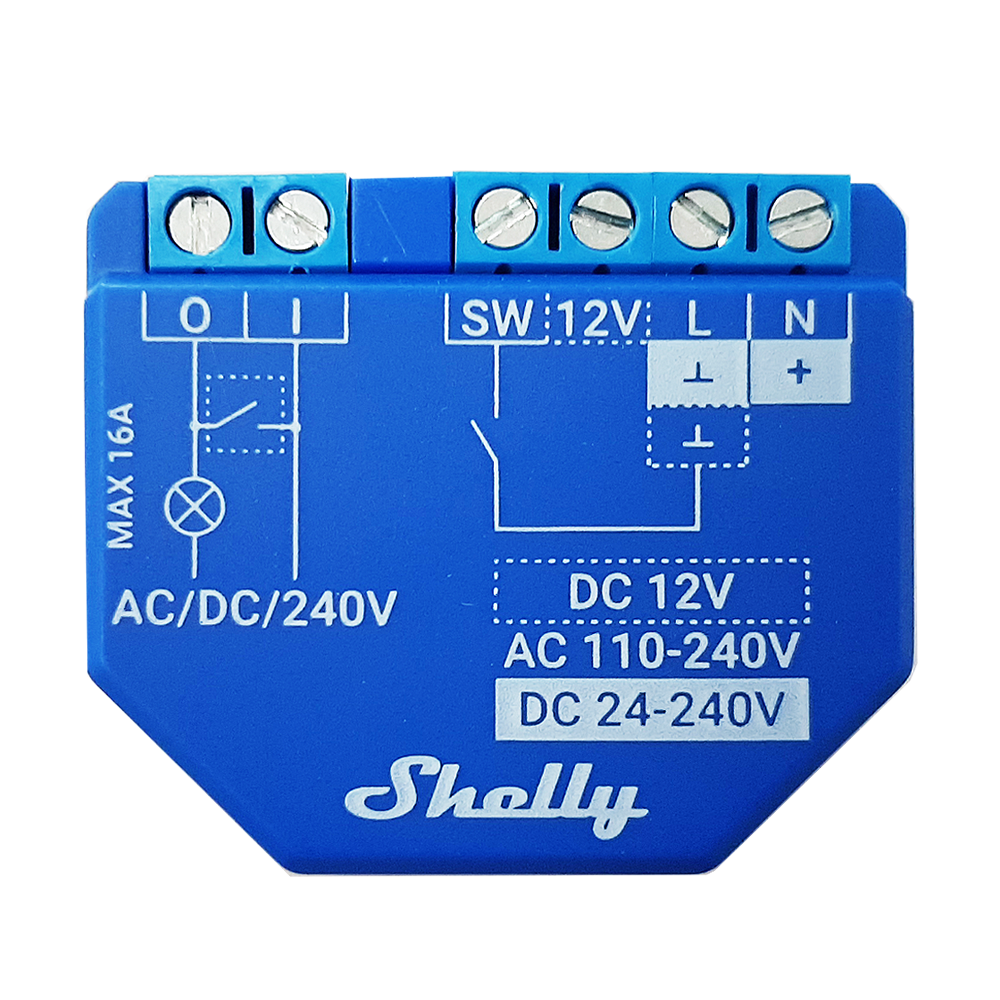 Shelly Plus 1 - D'Alessandris